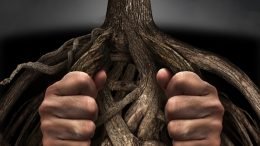 Genealogy educator and author highlights the "genealogy freedoms" on Independence Day 2017 and gives thanks for the ability to pursue them.