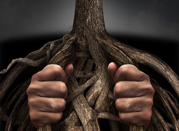 Genealogy educator and author highlights the "genealogy freedoms" on Independence Day 2017 and gives thanks for the ability to pursue them.