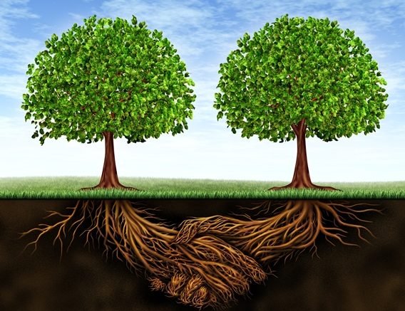 Genealogy author, educator and market analyst adds his commentary on the upcoming acquisition of Legacy Family Tree by MyHeritage