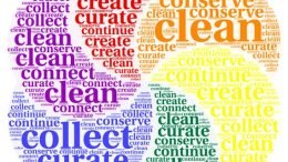Genealogy educator and author Thomas MacEntee periodically checks the progress of his own Genealogy Do-Over using these themes