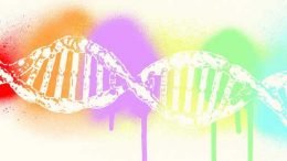 The DNA Do-Over - Month 3 March 2018: Y-DNA, mtDNA and X-DNA - And What You Can Do with the Data