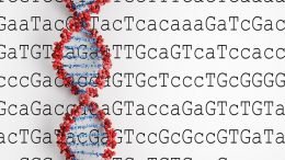 The DNA Do-Over - Month 4 April 2018: DNA Lingo: SNPs, centiMorgans, and Haplogroups, Oh My!