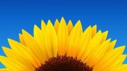 Join leading DNA educators Blaine Bettinger, Mary Eberle and Jane Haldeman for a special one-day online DNA adventure – Midwest DNA – on Saturday, June 9th, 2018. Get the details – and a huge savings of almost 40% - at Abundant Genealogy.