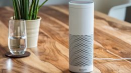 You can now listen to genealogy author and educator Thomas MacEntee on your Amazon Echo or Alexa App! Access Genealogy Update Alexa Skill and start today!