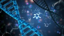 The DNA Do-Over - Month 10 October 2018: Ethnicity Estimates; Other DNA testing companies, and Making smart buying decisions