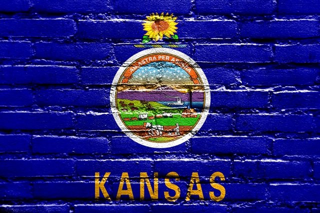 FamilySearch has added over 2.3 million FREE historical records this week including Freedmen's Bureau Hospital and Medical Records, 1865-1872 and Kansas State Census, 1915!