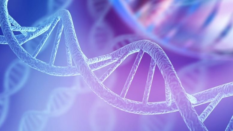 FREE WEBINAR Working with DNA Segments on MyHeritage presented by Ran Snir, MyHeritage Webinars, Tuesday, April 28th, 2020